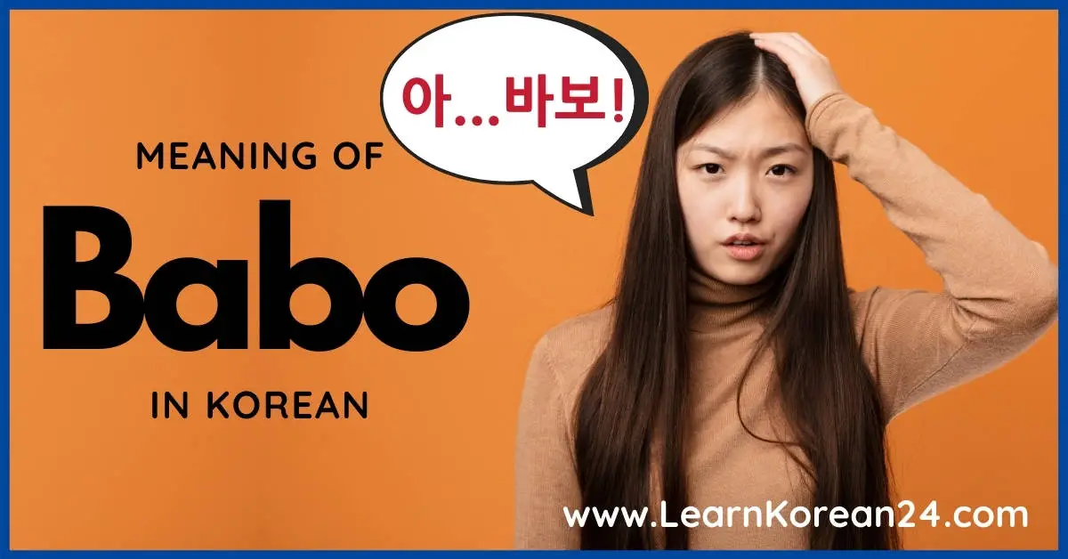 What Does Babo Mean In Korean