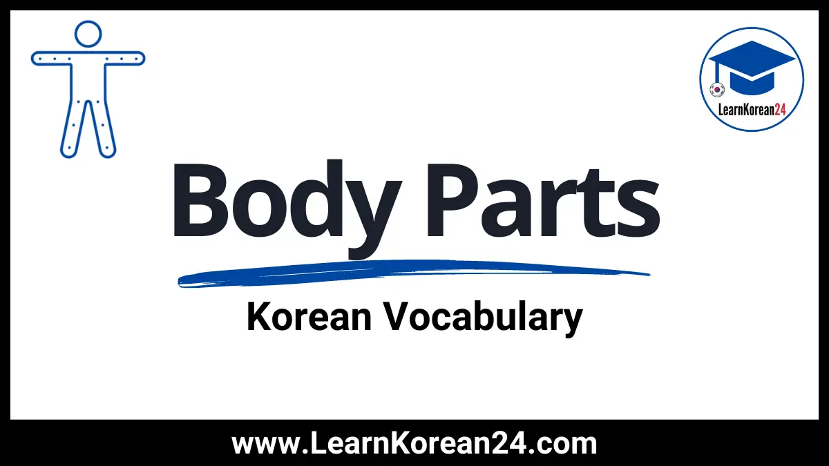 Body Parts In Korean